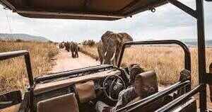 luxury safari experience 